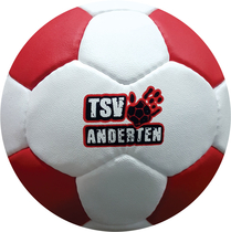 PU Trainings- u. Match Handball TSV Anderten