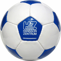 32 Panel Fußball HZ