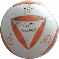 Fußball 14 Panel 'X' Design Teqball