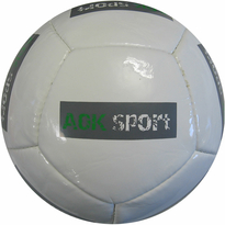 12 Panel Promo Fußball
