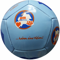 12 Panel Fußball