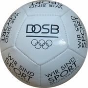 12 Panel Miniball 