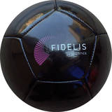 12 Panel Miniball FIDELIS