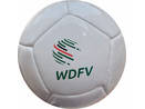 12 Panel Miniball WDFV