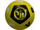 12 Panel Miniball Young Boys