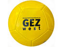 12 Panel Miniball GEZ west