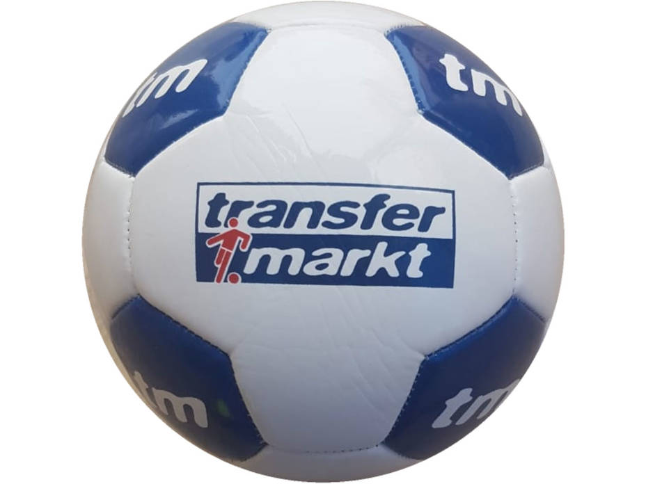 Miniball 26 Panel PENTA transfer markt