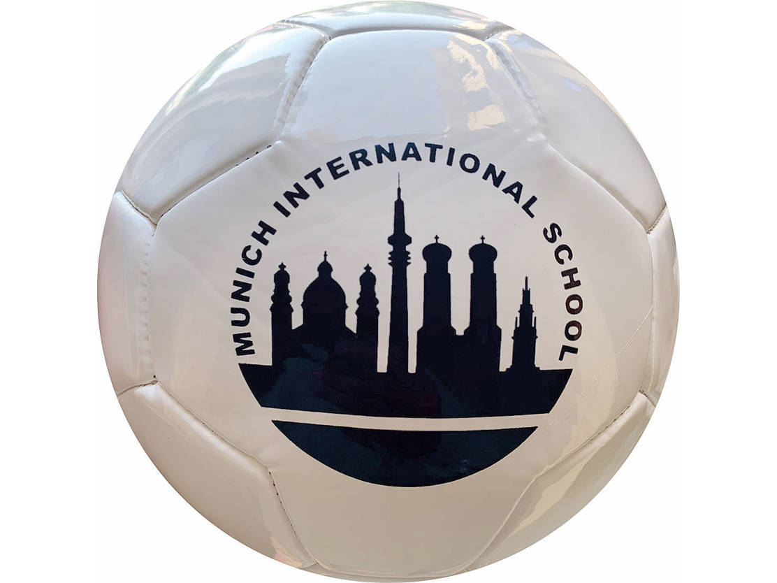 Miniball 26 Panel PENTA Munich International School