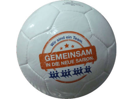 Mini Fußball 26 Panel PENTA GEMEINSAM