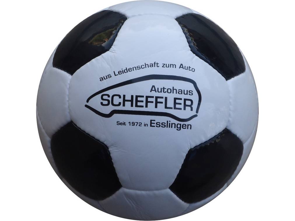 Mini Fußball 26 Panel PENTA Autohaus