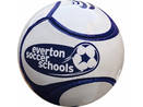 6 Panel Miniball soccer school