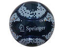 6 Panel Miniball Springer