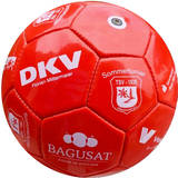 Mini Fußball Classic Design TSV