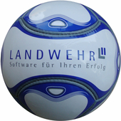 6 Panel Mini Fußball