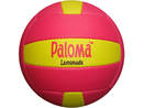 Volleyball Paloma