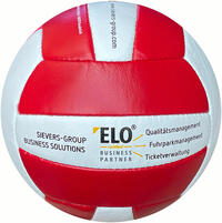 Match Volleyball insignio