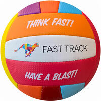 Freizeit- und Training Volleyball Fast Track