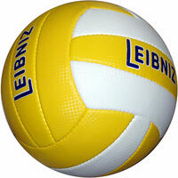 Freizeit- und Training Volleyball Leibniz