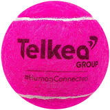 Tr.- & Match Standard Transfer