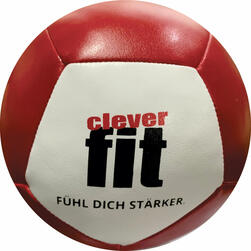 Softball  12 Panel Mini