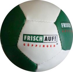 Softball 12 Panel Soft Mini