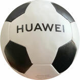 Softball  26 Panel Penta Mini