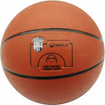 Basketball VEOLIA-Hamburg Towers