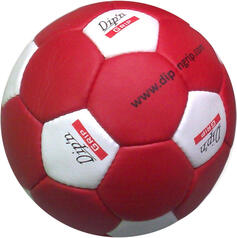 Trainings- u. Wettspielhandball D&G