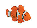 Stress Clown Fisch