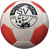 26 Panel Fußball mit Vereinslogo