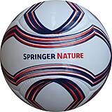 6 Panel Fußball Springer Nature