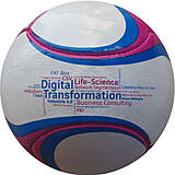 6 Panel Fußball Digital