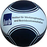6 Panel Fußball iwb