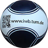 6 Panel Fußball iwb.tum