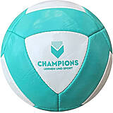 20 Panel Fußball "X" Champions