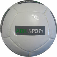 12 Panel Promo Fußball
