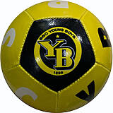 12 Panel Miniball Young Boys