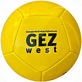 12 Panel Miniball GEZ west