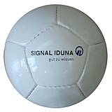 12 Panel Miniball SIGNAL IDUNA