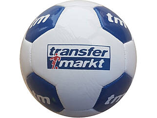 Miniball 26 Panel PENTA transfer markt