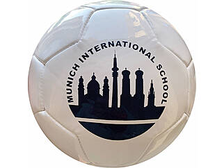 Miniball 26 Panel PENTA Munich International School