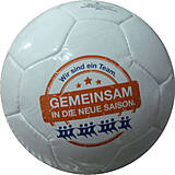 Mini Fußball 26 Panel PENTA GEMEINSAM