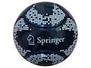 6 Panel Miniball Springer