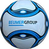 6 Panel Miniball BEUMER