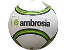 6 Panel Mini Fußball ambrosia
