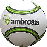 6 Panel Mini Fußball ambrosia