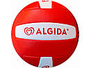 Volleyball Algida-Malta