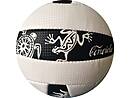 Volleyball Geko