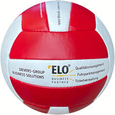 Match Volleyball insignio