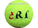 Tennisball ERI